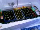 200706232029_00432.jpg