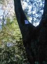 foto0183.jpg
